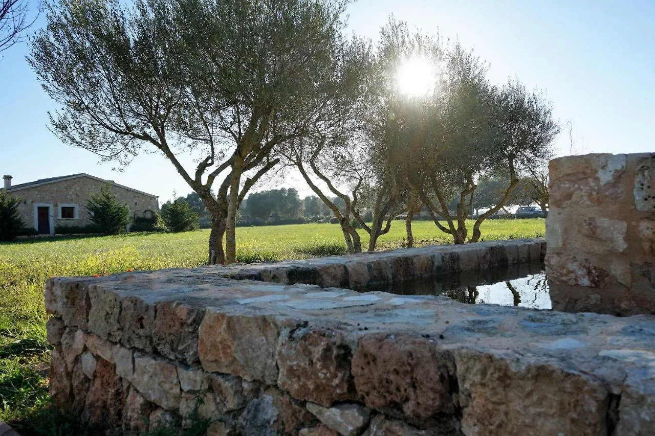 Vmg Horse Ranch Hotel Llucmajor