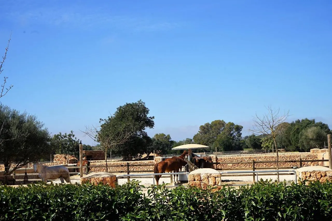Vmg Horse Ranch Hotel Llucmajor   Llucmajor (Mallorca)