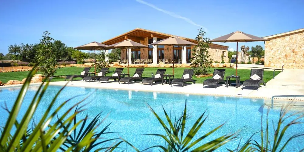 Vmg Horse Ranch location
